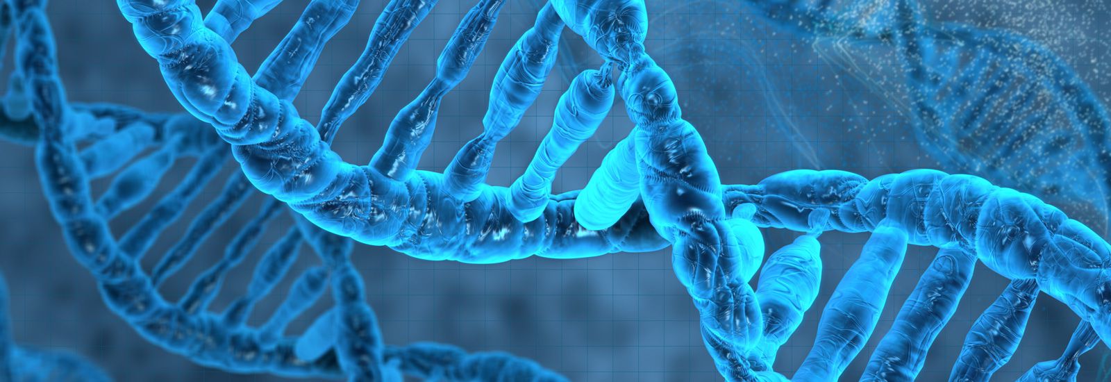 BIOLOGIA_MOLECULAR