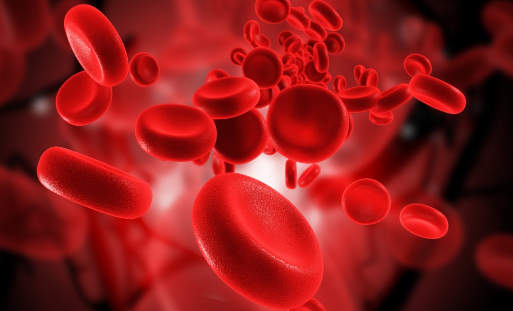 HEMATOLOGIA