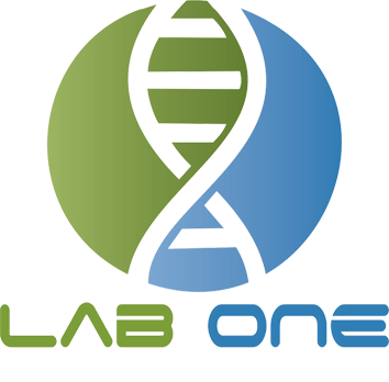 Lab One laboratório
